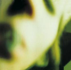 The Smashing Pumpkins : Pisces Iscariot